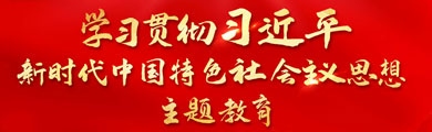 学习贯彻习近平新时代中国特色社会主义思想主题教育
